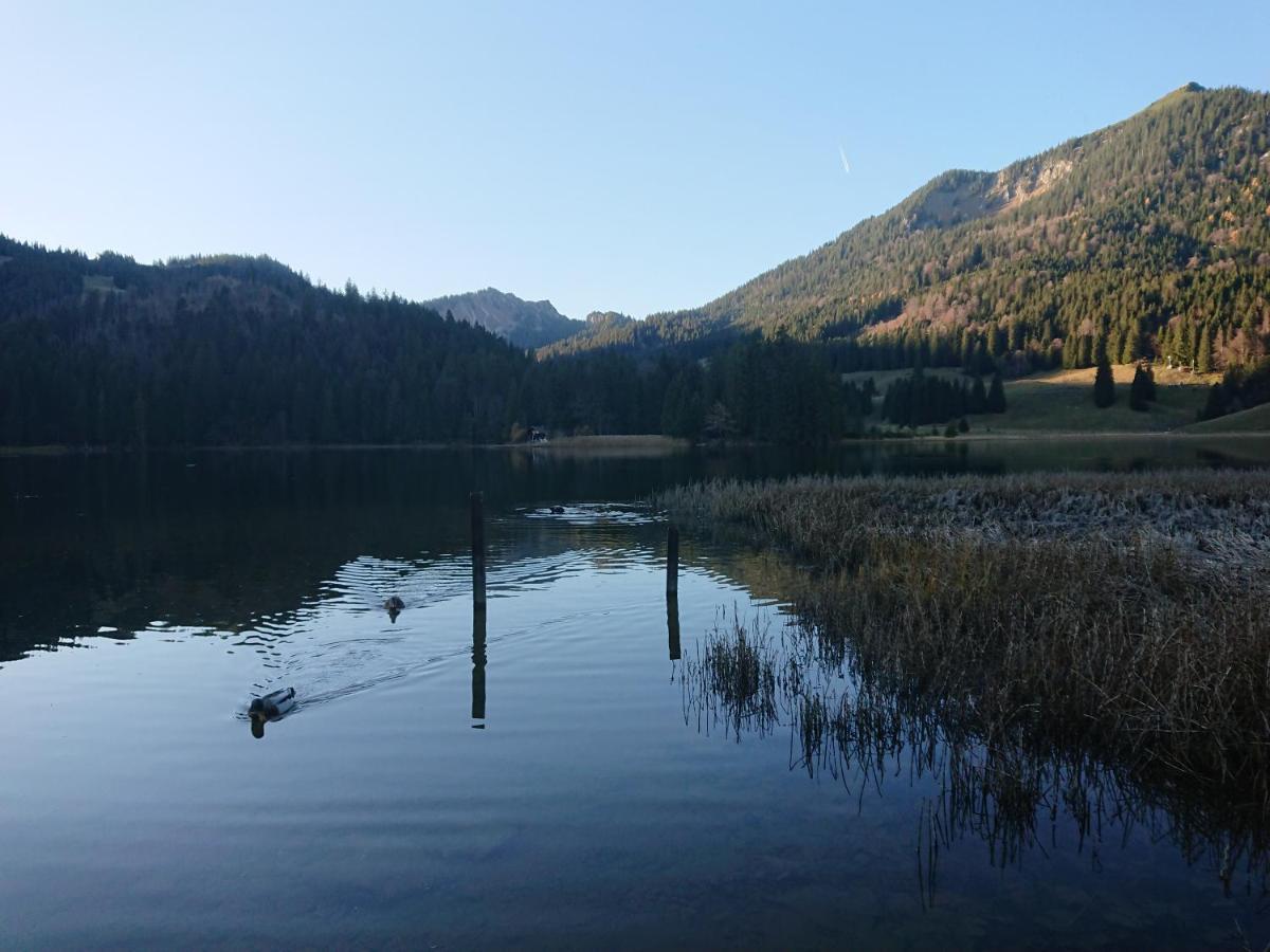 Haus-Brecherspitzblick Шлирзее Екстериор снимка